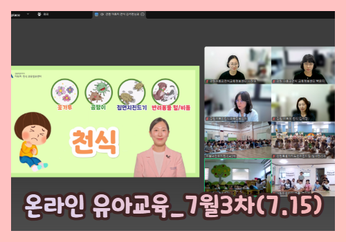 갤러리